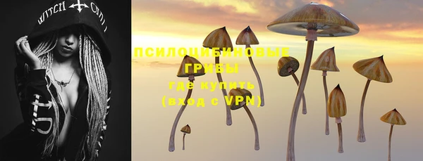 трава Богданович