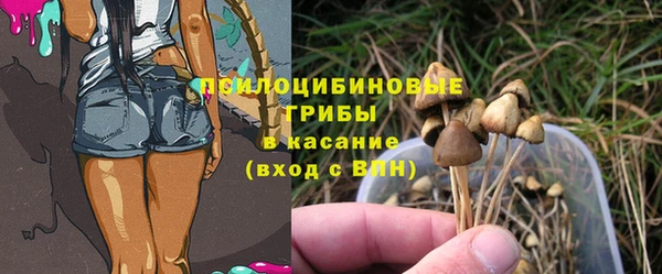 трава Богданович
