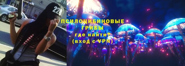 СК Богородицк