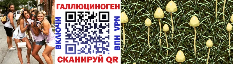 Галлюциногенные грибы Psilocybe  Велиж 